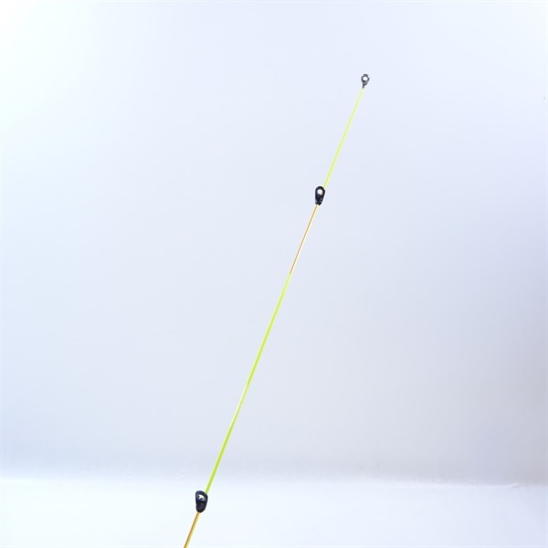 ２１アオリスタ５００